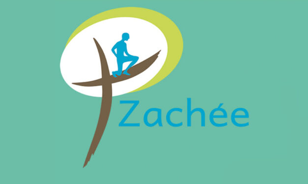 Lancement d’un parcours Zachée à la rentrée